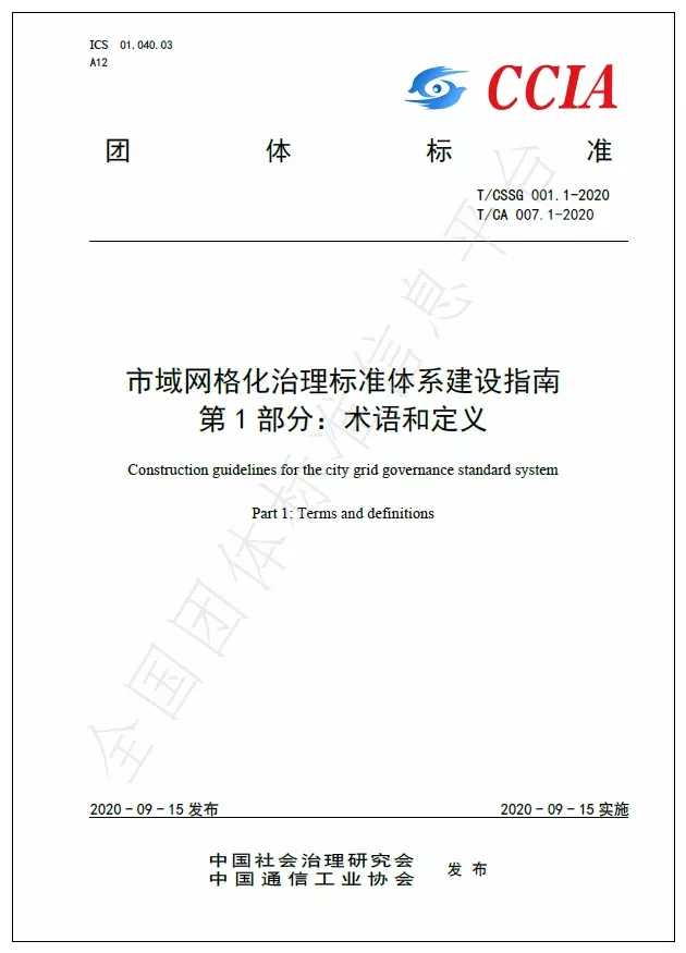 市域网格化治理标准体系建设指南   第1部分：术语和定义